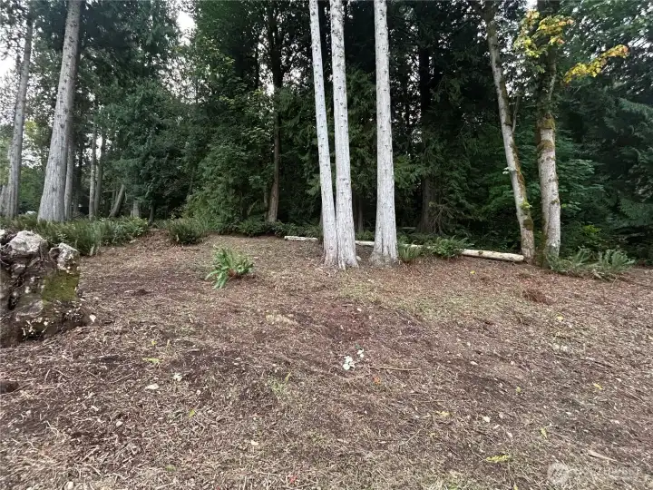 Surroundings