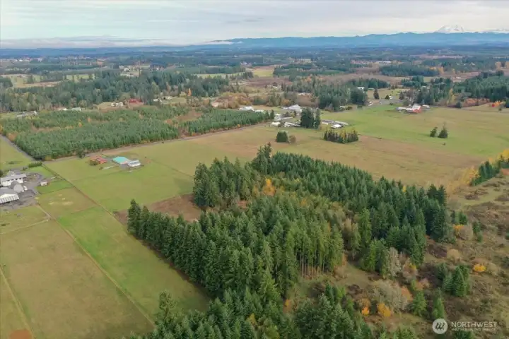 only a few minutes to I-5 and downtown.