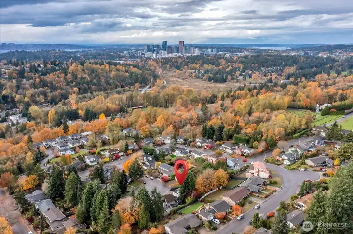 Aerial location view of the home.