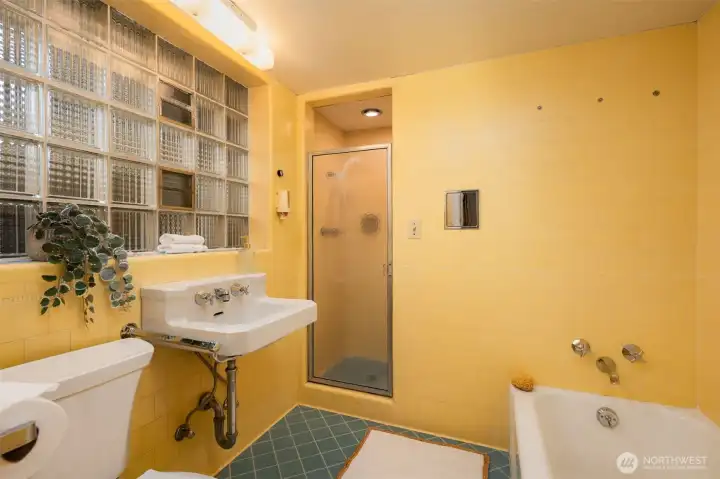 Primary bathroom suite.
