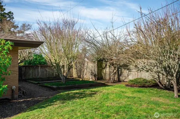 Raised garden beds and fruit trees.