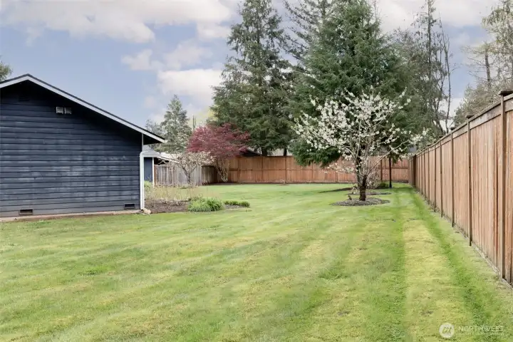 Side yard on right of the house.