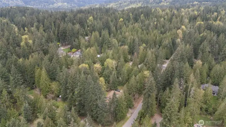 Quiet, tree-lined neighborhood offering a sense of retreat while still connected.