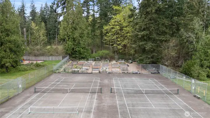 Mirrormont features a voluntary community association that offers courts, a pea patch, clubhouse, pool and events. There's also a large community park and lots of trails to explore!