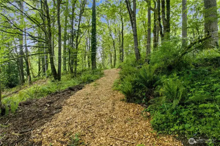 Path through the property leading to the access road. Path through the property leading to the access road.