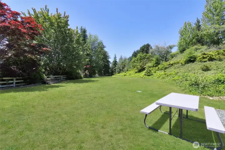 Open space great for picnics, yard games, etc.