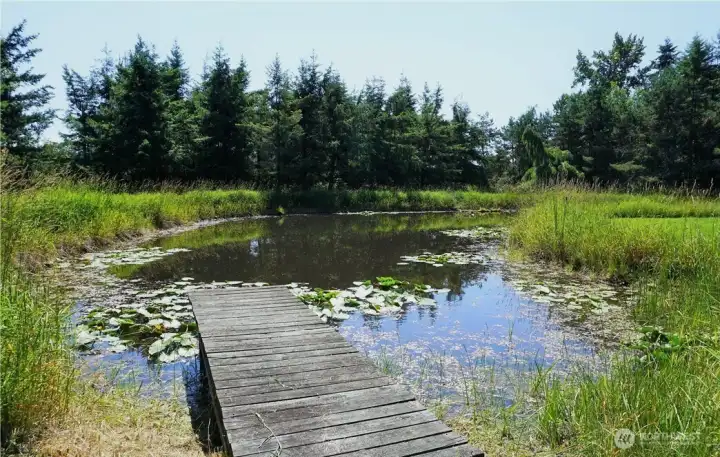 Private pond with dock and stocked with bass fish. Private pond with dock and stocked with bass fish.