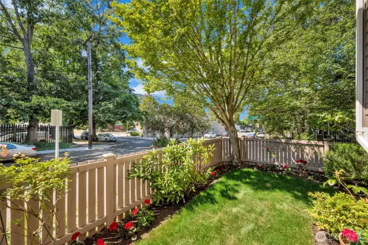 Private yard with brand new grass Private yard with brand new grass