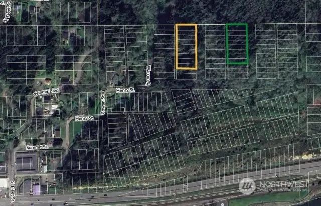 Green Outline is Subject Property, Yellow is Adjacent Property. Pulled From Grays Harbor County Website.