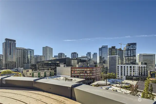 City Views from Rooftop Deck