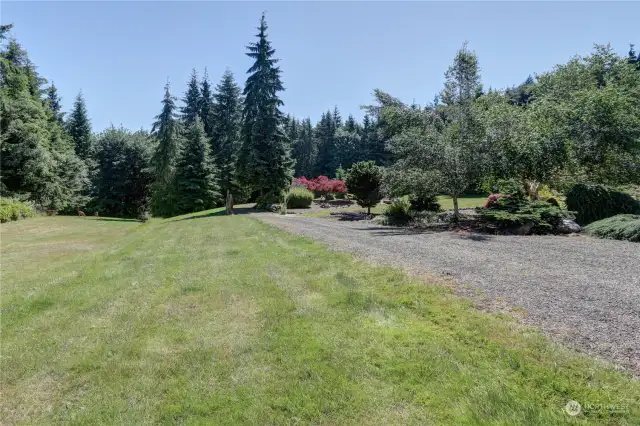 Road leading into your new home. Notice the deer on the left.