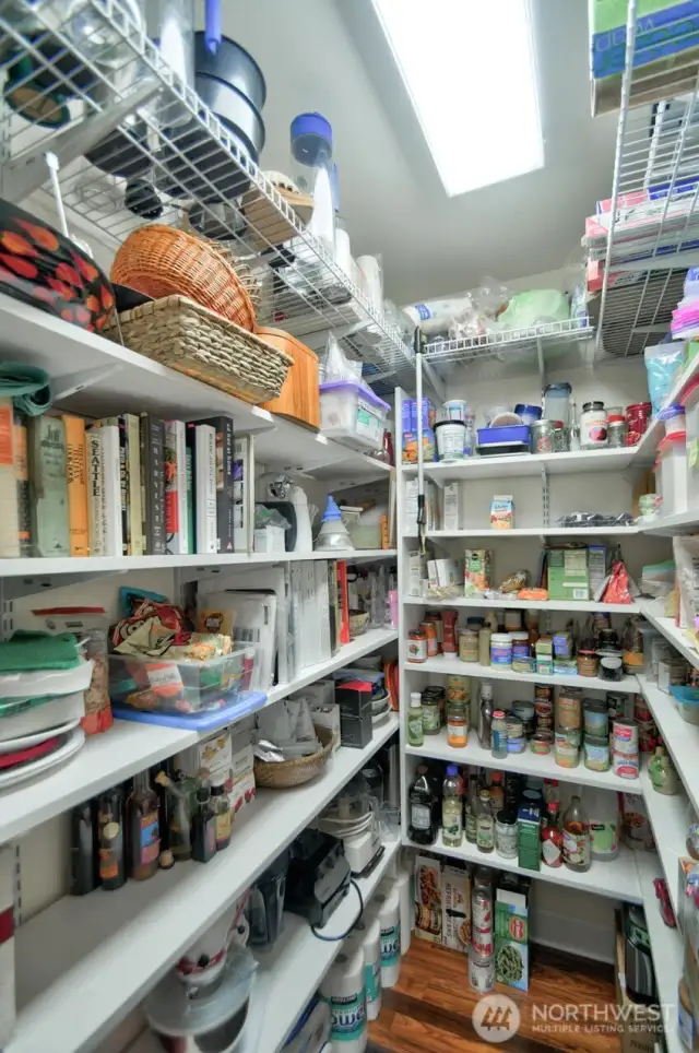 Large pantry for kitchen gadgets and food storage