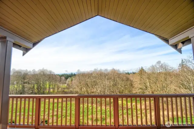 View to the back yard and deck from the living room
