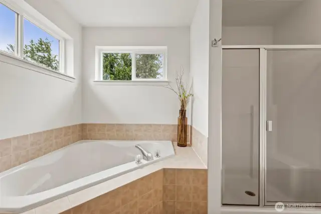 Large bathtub and shower