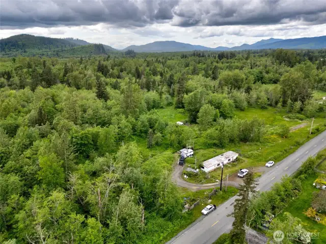 Lush landscape with a variety of trees on the 19 acres.