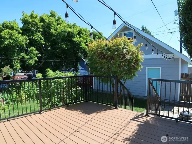 Trex decking