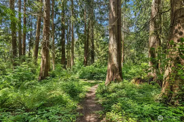 Private ~1/3 trail loop.