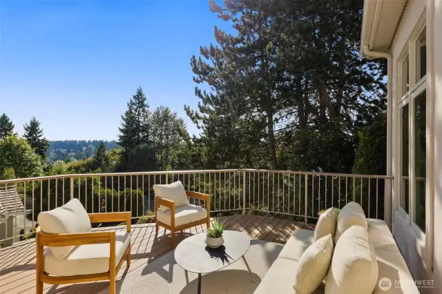 And then there's the deck - west facing entertaining space. This deck wraps around the back of the house and can be accessed via the Living Room. It's gated and has easy access to the backyard area.