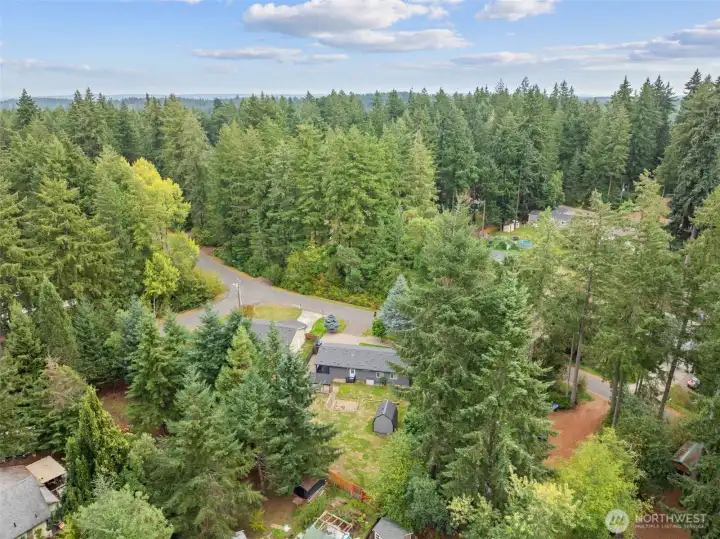 Aerial of neighborhood
