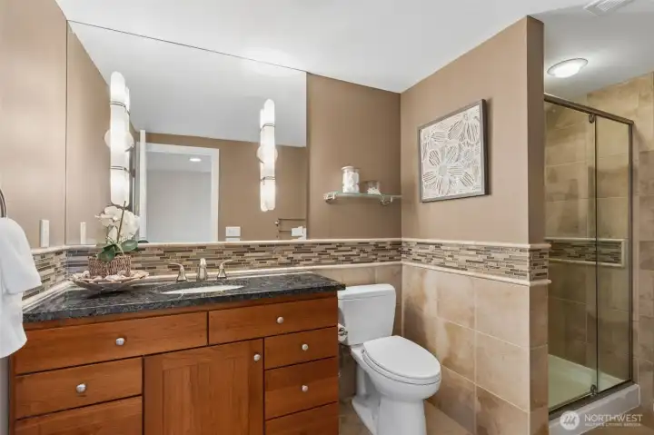 Lower level bathroom.