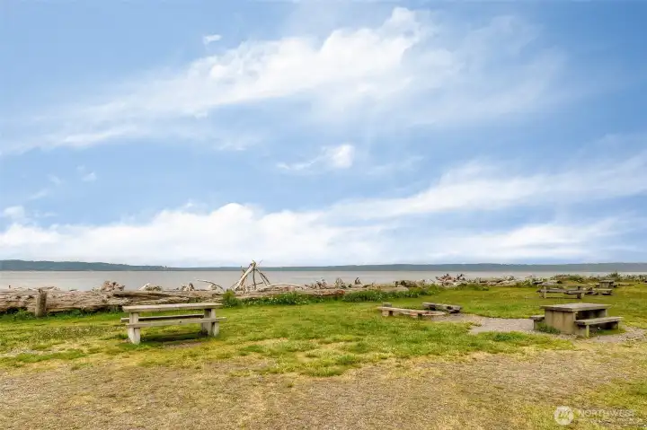 Picnic tables and firepits at The Cove beach.