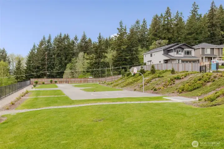 Community sport court