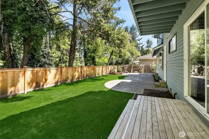 New lawn - coming in!