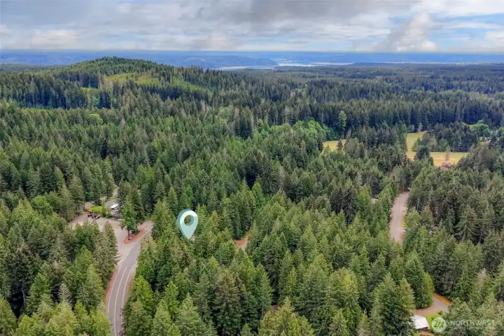 Aerial.