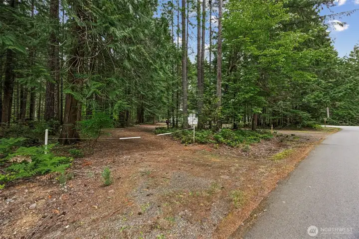 Street view.