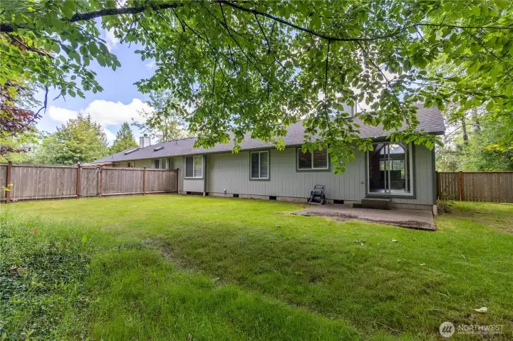 9922 back yard
