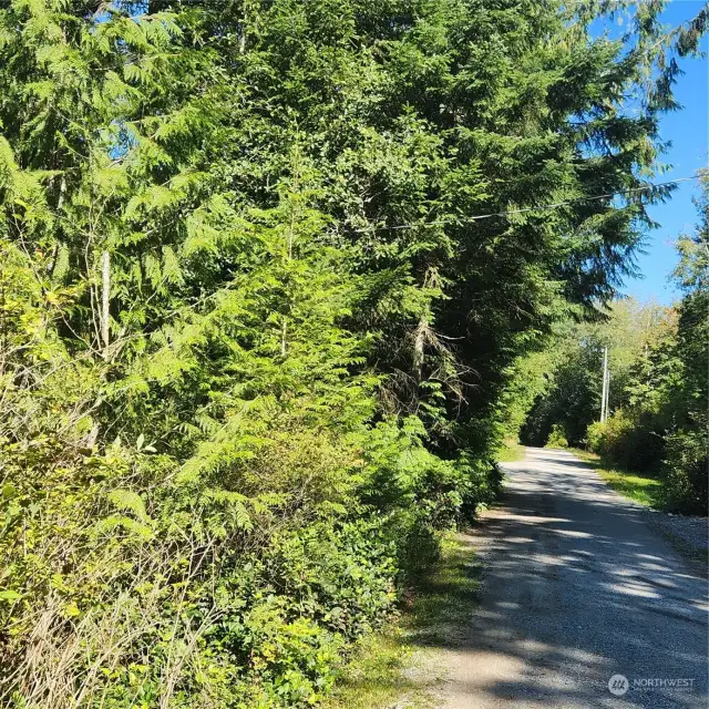 Looking north on Windsun Way. Property on the right side. (West)