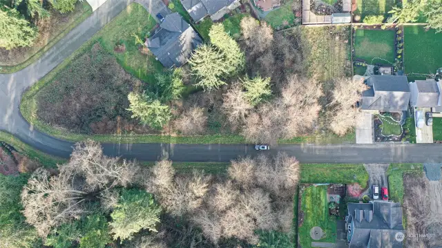 Neighborhood is substantially developed already. Lot is from the car on the street to the big tree heading left.