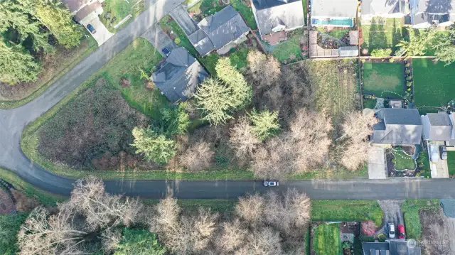 Birds Eye View of the lot and some of the neighborhood.