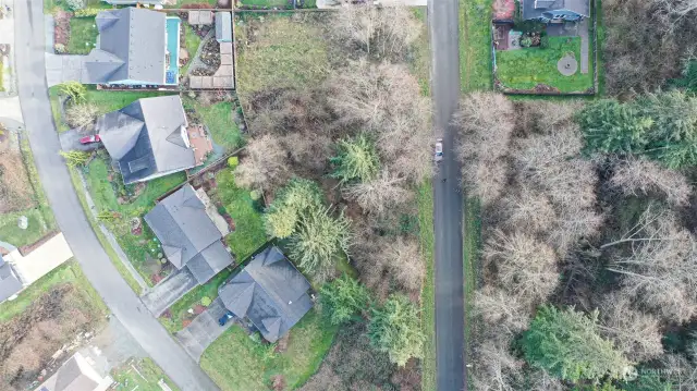 Different orientation of birds eye view.