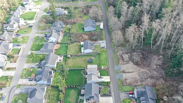 Another view of the neighborhood of Whispering Firs.