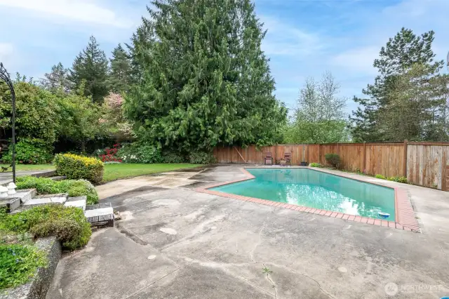 A backyard that feels like you're miles away!