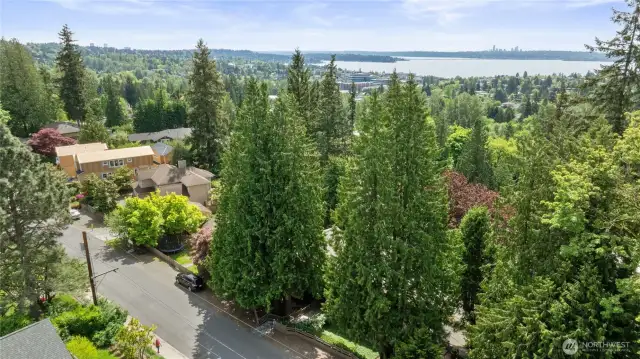 Close to Downtown Kirkland