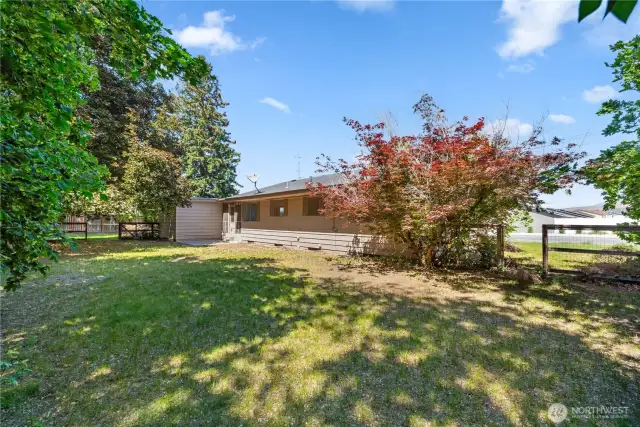 Backyard with patio accessible via breezeway.