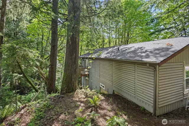 Back of the house with flat back yard