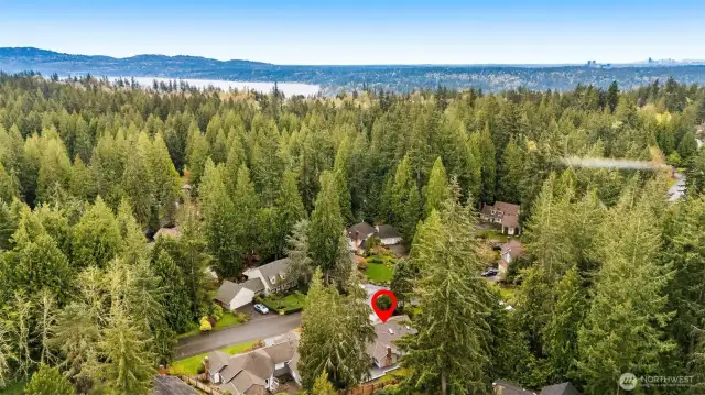 Timberline Rambler!  Cul-de-sac home!