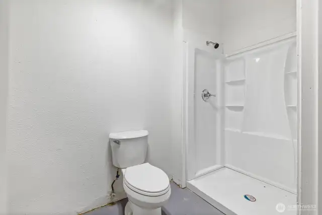 Lower level bathroom