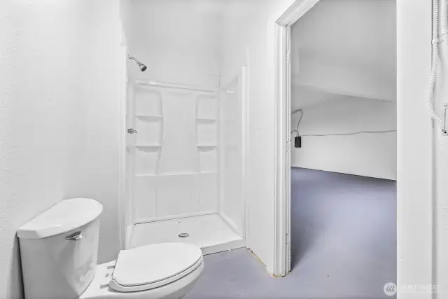 Lower level bathroom