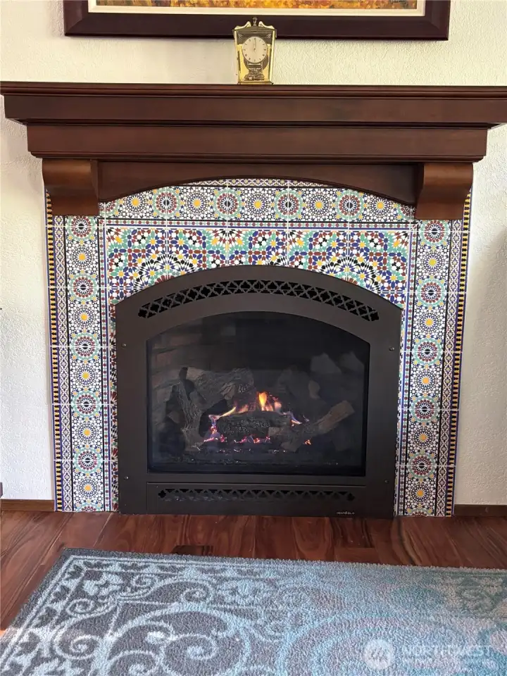 Gas Fireplace Furnace Rated
