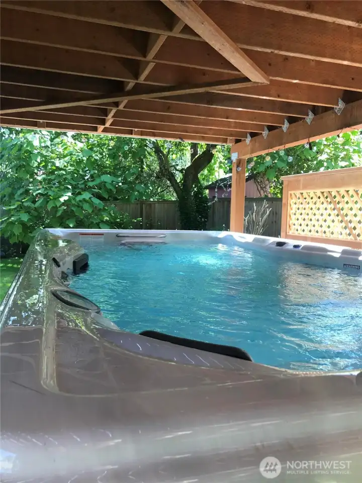 16X18 Swim Spa