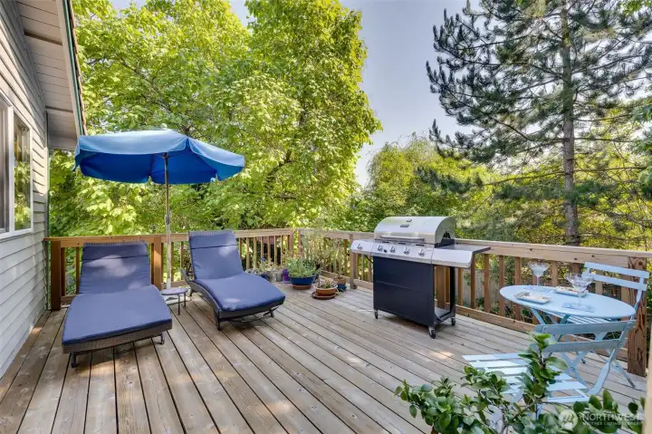 Upper deck off kitchen