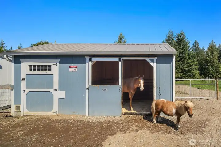 Loafing shed
