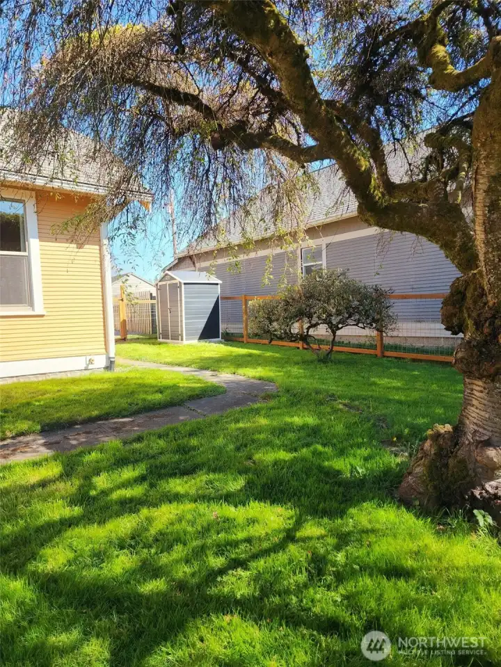 Part of the fully fenced area of the front yard.