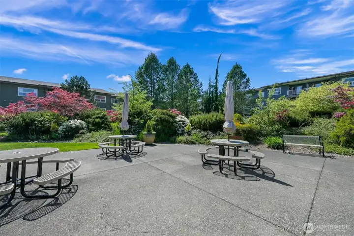 Host your next BBQ at the clubhouse