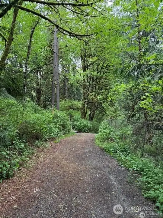 Hike to the Falls just down the street
