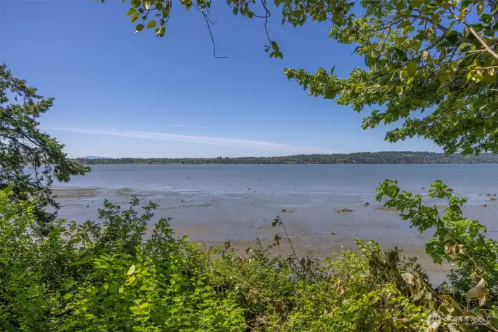 Looking across the bay at Drayton Harbor...life is better on the beach! Looking across the bay at Drayton Harbor...life is better on the beach!